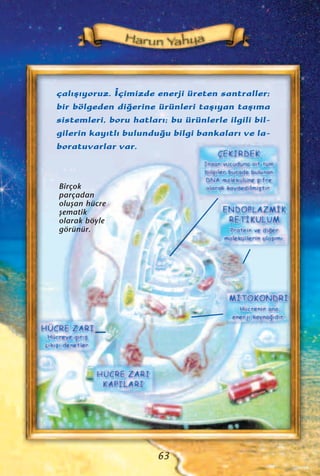 çal›ﬂ›yoruz. ‹çimizde enerji üreten santraller;
bir bölgeden di¤erine ürünleri taﬂ›yan taﬂ›ma
sistemleri, boru hatlar›; bu ürünlerle ilgili bil-
gilerin kay›tl› bulundu¤u bilgi bankalar› ve la-
boratuvarlar var.
63
Birçok
parçadan
oluﬂan hücre
ﬂematik
olarak böyle
görünür.
 