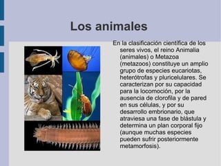 Los animales  ,[object Object]