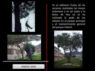 Ya se obtienen frutos de las sesiones realizadas los meses anteriores y es así como a la fecha de hoy ya se ha realizado la poda de los arboles en el parque principal y el mantenimiento general del parque infantil.ENERO 2009
