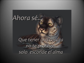 Que tener una coraza   no te protege,  solo  esconde el alma Ahora sé... 