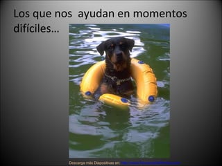 Los que nos  ayudan en momentos difíciles… Descarga más Diapositivas en:  http://www.RenuevoDePlenitud.com 