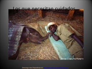 Los que necesitan cuidados… Descarga más Diapositivas en:  http://www.RenuevoDePlenitud.com 