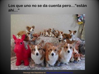 Los que uno no se da cuenta pero…”están ahí…” Descarga más Diapositivas en:  http://www.RenuevoDePlenitud.com 