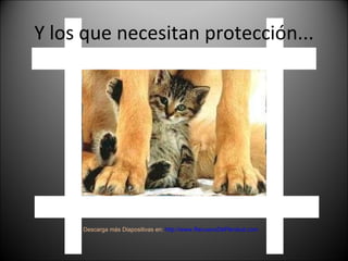 Y los que necesitan protección... Descarga más Diapositivas en:  http://www.RenuevoDePlenitud.com 