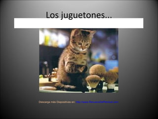 Los juguetones... Descarga más Diapositivas en:  http://www.RenuevoDePlenitud.com 