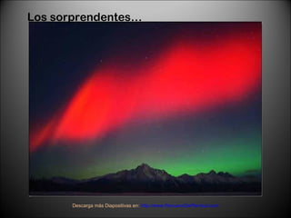 Los sorprendentes… Descarga más Diapositivas en:  http://www.RenuevoDePlenitud.com 