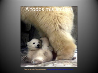 A todos mis amigos Descarga más Diapositivas en:  http://www.RenuevoDePlenitud.com 