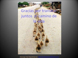 Gracias por transitar juntos  el camino de la vida Descarga más Diapositivas en:  http://www.RenuevoDePlenitud.com 