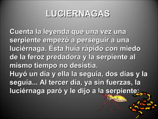 LUCIERNAGAS  Cuenta la leyenda que una vez una serpiente empezó a perseguir a una luciérnaga. Ésta huía rápido con miedo de la feroz predadora y la serpiente al mismo tiempo no desistía.  Huyó un día y ella la seguía, dos días y la seguía... Al tercer día, ya sin fuerzas, la luciérnaga paró y le dijo a la serpiente:   