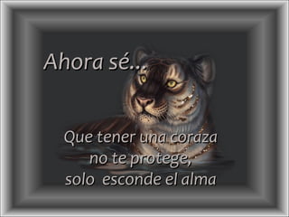 Que tener una coraza   no te protege,  solo  esconde el alma Ahora sé... 