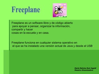 Freeplane es un software libre y de código abierto
 para apoyar a pensar, organizar la información,
compartir y hacer
cosas en la escuela y en casa.


Freeplane funciona en cualquier sistema operativo en
el que se ha instalado una versión actual de Java y desde el USB.




                                                     María Malvina Ruiz Ingold
                                                     Maestra Dinamizadora
 