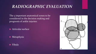 RADIOGRAPHIC EVALUATION
The 3 important anatomical zones to be
considered in the decision making and
prognosis of ankle injuries:
 Articular surface
 Metaphysis
 Fibula
 