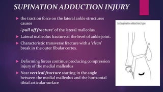 SUPINATION ADDUCTION INJURY
 the traction force on the lateral ankle structures
causes
-‘pull off fracture’ of the lateral malleolus.
 Lateral malleolus fracture at the level of ankle joint.
 Characteristic transverse fracture with a ‘clean’
break in the outer fibular cortex.
 Deforming forces continue producing compression
injury of the medial malleolus
 Near vertical fracture starting in the angle
between the medial malleolus and the horizontal
tibial articular surface
 