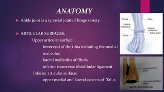 ANATOMY
 Ankle joint is a synovial joint of hinge variety
 ARTICULAR SURFACES:
*Upper articular surface:
lower end of the tibia including the medial
malleolus
lateral malleolus of fibula
inferior transverse tibiofibular ligament
*Inferior articular surface:
upper medial and lateral aspects of Talus
 
