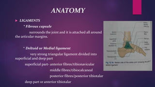 ANATOMY
 LIGAMENTS
* Fibrous capsule
surrounds the joint and it is attached all around
the articular margins.
* Deltoid or Medial ligament
very strong triangular ligament divided into
superficial and deep part
superficial part- anterior fibres/tibionavicular
middle fibres/tibiocalcaneal
posterior fibres/posterior tibiotalar
deep part or anterior tibiotalar
 