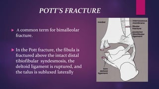 POTT’S FRACTURE
 A common term for bimalleolar
fracture.
 In the Pott fracture, the fibula is
fractured above the intact distal
tibiofibular syndesmosis, the
deltoid ligament is ruptured, and
the talus is subluxed laterally
 