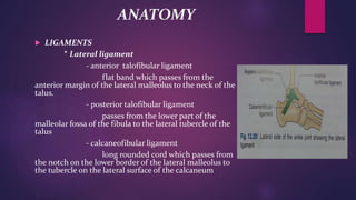 ANATOMY
 LIGAMENTS
* Lateral ligament
- anterior talofibular ligament
flat band which passes from the
anterior margin of the lateral malleolus to the neck of the
talus.
- posterior talofibular ligament
passes from the lower part of the
malleolar fossa of the fibula to the lateral tubercle of the
talus
- calcaneofibular ligament
long rounded cord which passes from
the notch on the lower border of the lateral malleolus to
the tubercle on the lateral surface of the calcaneum
 