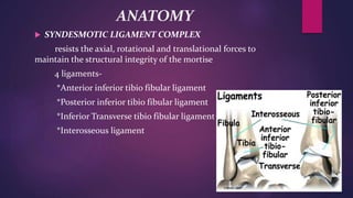 ANATOMY
 SYNDESMOTIC LIGAMENT COMPLEX
resists the axial, rotational and translational forces to
maintain the structural integrity of the mortise
4 ligaments-
*Anterior inferior tibio fibular ligament
*Posterior inferior tibio fibular ligament
*Inferior Transverse tibio fibular ligament
*Interosseous ligament
 