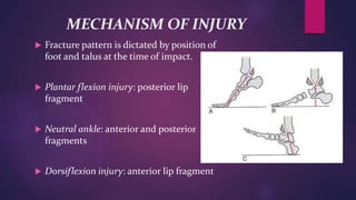 MECHANISM OF INJURY
 Fracture pattern is dictated by position of
foot and talus at the time of impact.
 Plantar flexion injury: posterior lip
fragment
 Neutral ankle: anterior and posterior
fragments
 Dorsiflexion injury: anterior lip fragment
 