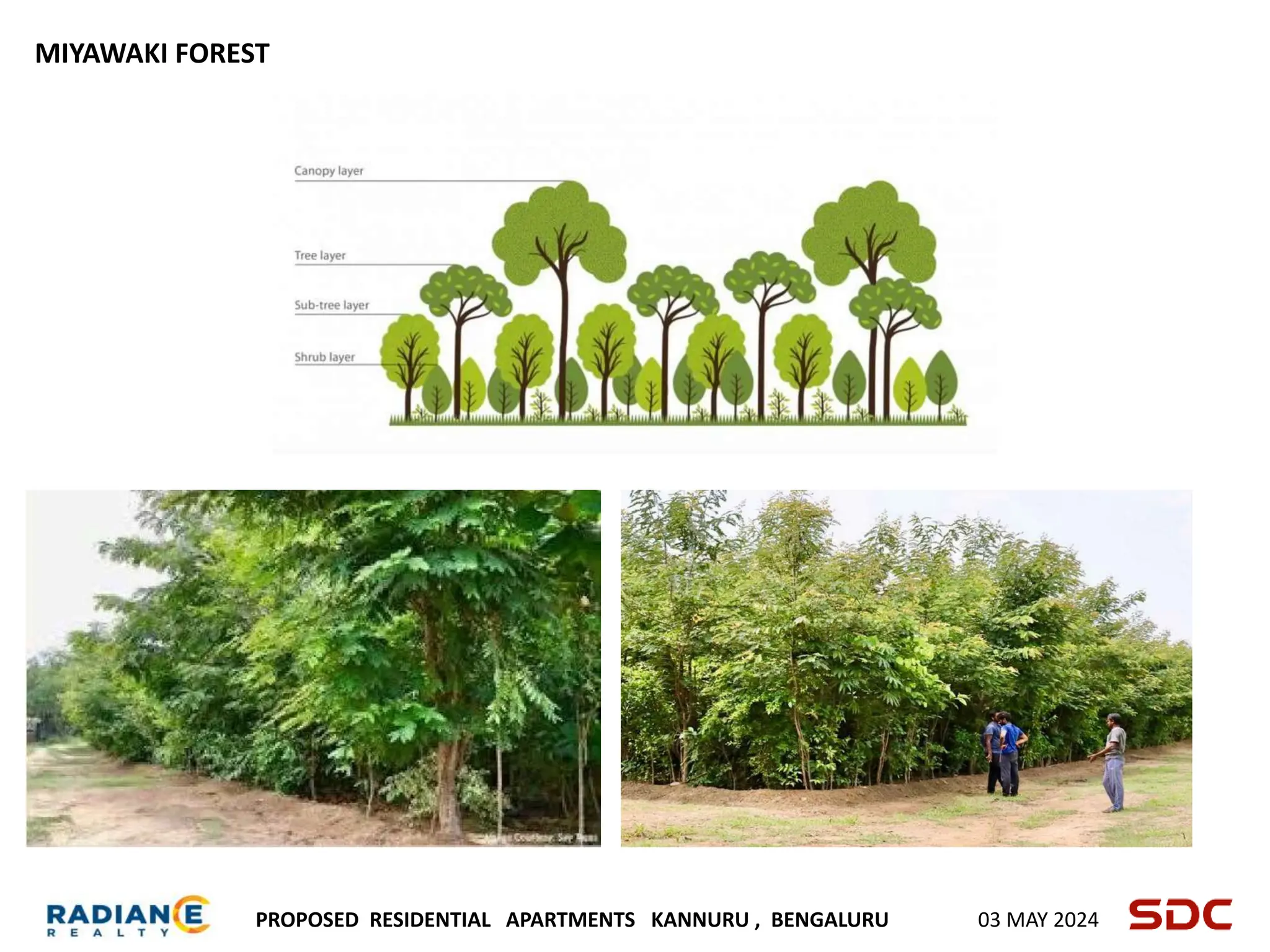 PROPOSED RESIDENTIAL APARTMENTS KANNURU , BENGALURU 03 MAY 2024
MIYAWAKI FOREST
 