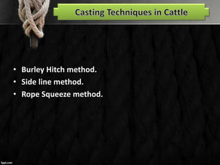 • Burley Hitch method.
• Side line method.
• Rope Squeeze method.
 