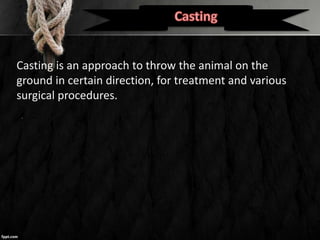Casting is an approach to throw the animal on the
ground in certain direction, for treatment and various
surgical procedures.
 