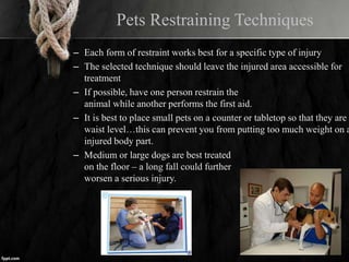 Pets Restraining Techniques
– Each form of restraint works best for a specific type of injury
– The selected technique should leave the injured area accessible for
treatment
– If possible, have one person restrain the
animal while another performs the first aid.
– It is best to place small pets on a counter or tabletop so that they are
waist level…this can prevent you from putting too much weight on a
injured body part.
– Medium or large dogs are best treated
on the floor – a long fall could further
worsen a serious injury.
 