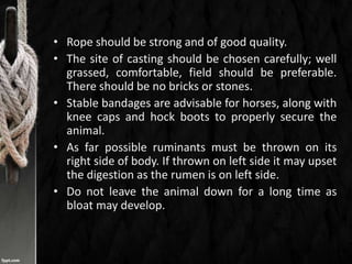 • Rope should be strong and of good quality.
• The site of casting should be chosen carefully; well
grassed, comfortable, field should be preferable.
There should be no bricks or stones.
• Stable bandages are advisable for horses, along with
knee caps and hock boots to properly secure the
animal.
• As far possible ruminants must be thrown on its
right side of body. If thrown on left side it may upset
the digestion as the rumen is on left side.
• Do not leave the animal down for a long time as
bloat may develop.
 
