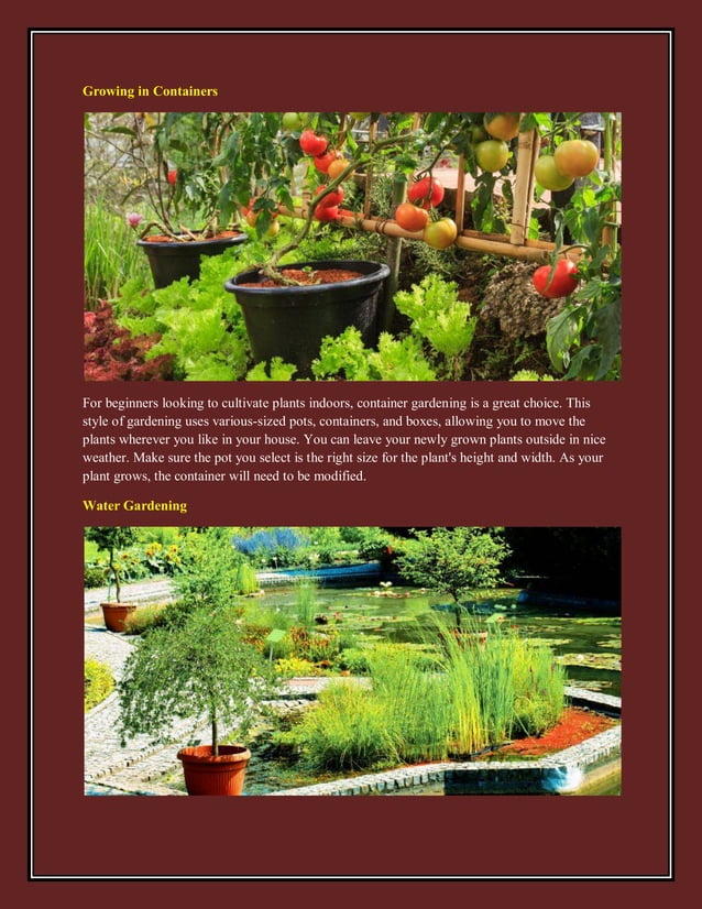 Various Home Gardening Techniques