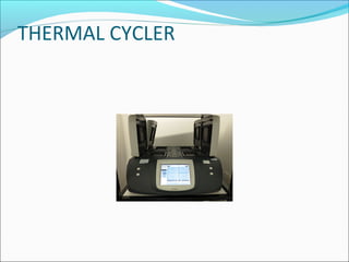 THERMAL CYCLER
 
