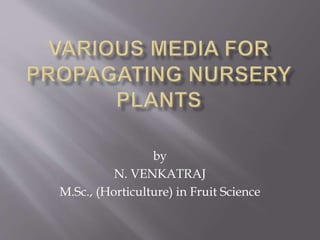 by
N. VENKATRAJ
M.Sc., (Horticulture) in Fruit Science
 