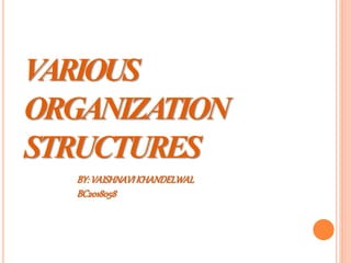 VARIOUS
ORGANIZATION
STRUCTURES
BY:VAISHNAVIKHANDELWAL
BC2018058
 