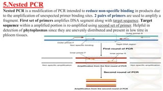 PCR & It's Various Types, DNA chip method & Serological methods of Seed ...