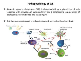 Pathophysiology of SLE
 Systemic lupus erythematous (SLE) is characterized by a global loss of self-
tolerance with activation of auto reactive T and B cells leading to production of
pathogenic autoantibodies and tissue injury.
 Autoimmune reactions directed against constituents of cell nucleus, DNA
 