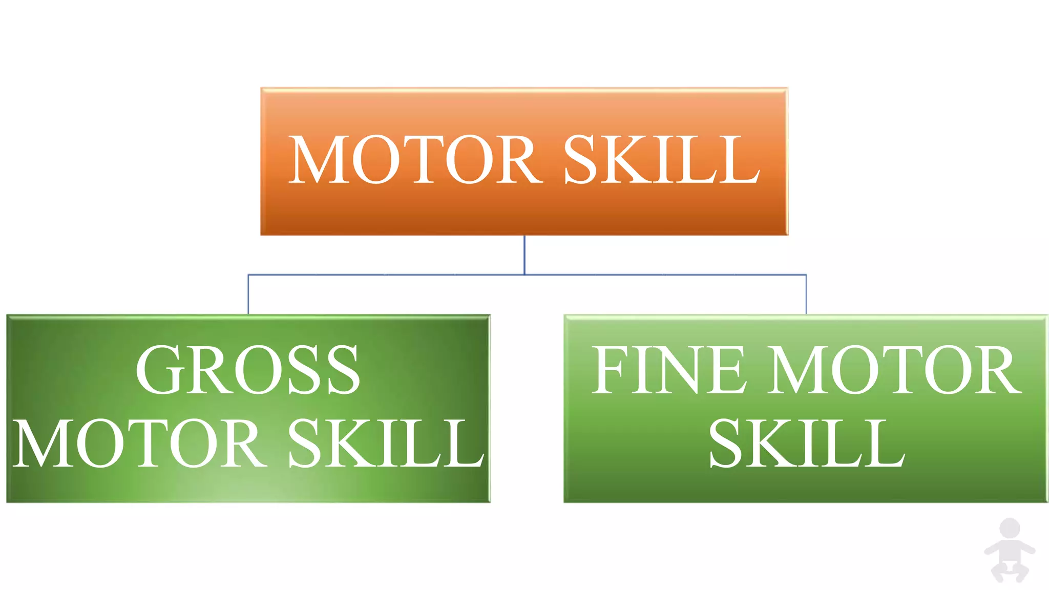 MOTOR SKILL
GROSS
MOTOR SKILL
FINE MOTOR
SKILL
 