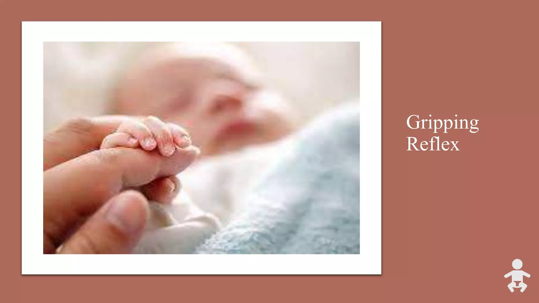 Gripping
Reflex
 