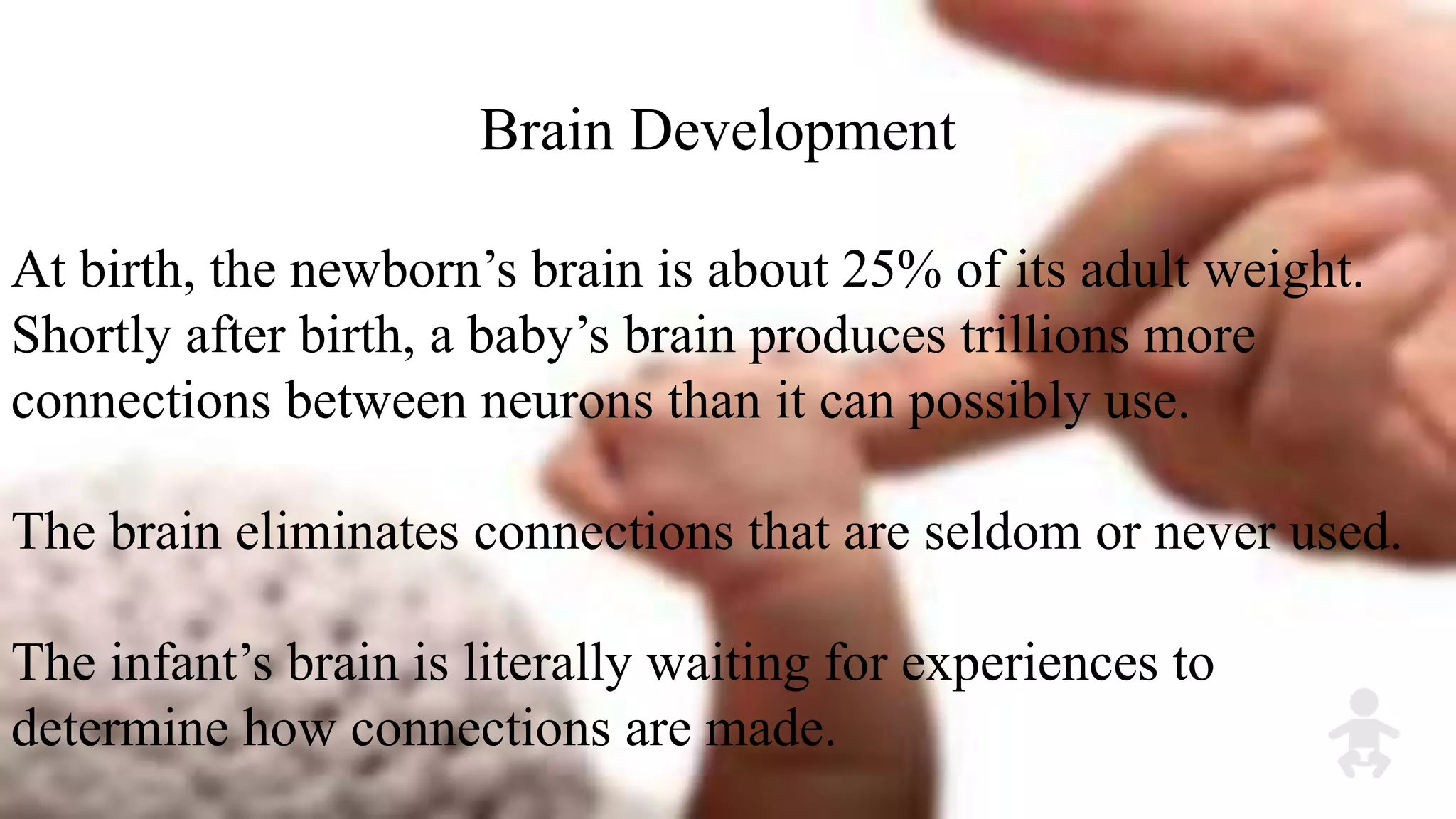 Brain Development
At birth, the newborn’s brain is about 25% of its adult weight.
Shortly after birth, a baby’s brain produces trillions more
connections between neurons than it can possibly use.
The brain eliminates connections that are seldom or never used.
The infant’s brain is literally waiting for experiences to
determine how connections are made.
 