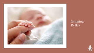 Gripping
Reflex
 