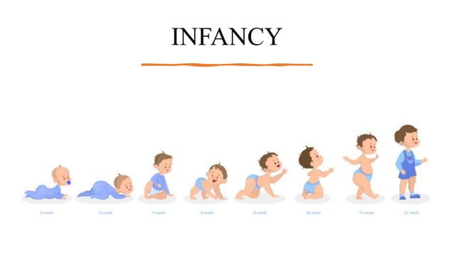 Your Baby'S First Year: The Ultimate Guide To Physical Development In Infancy - qf6inm5