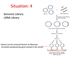 Sample Library Dna Various strategies for molecular cloning | PPTX