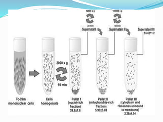 Various techniques of Centrifugation 11.pptx