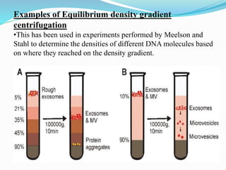 Various techniques of Centrifugation 11.pptx