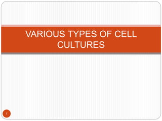 VARIOUS TYPES OF CELL
CULTURES
1
 