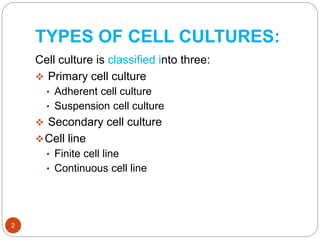 TYPES OF CELL CULTURES:
Cell culture is classified into three:
 Primary cell culture
• Adherent cell culture
• Suspension cell culture
 Secondary cell culture
Cell line
• Finite cell line
• Continuous cell line
2
 