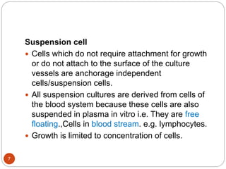 Suspension cell
 Cells which do not require attachment for growth
or do not attach to the surface of the culture
vessels are anchorage independent
cells/suspension cells.
 All suspension cultures are derived from cells of
the blood system because these cells are also
suspended in plasma in vitro i.e. They are free
floating.,Cells in blood stream. e.g. lymphocytes.
 Growth is limited to concentration of cells.
7
 