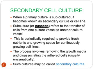SECONDARY CELL CULTURE:
 When a primary culture is sub-cultured, it
becomes known as secondary culture or cell line.
 Subculture (or passage) refers to the transfer of
cells from one culture vessel to another culture
vessel.
 This is periodically required to provide fresh
nutrients and growing space for continuously
growing cell lines.
 The process involves removing the growth media
and disassociating the adhered cells (usually
enzymatically).
 Such cultures may be called secondary cultures.8
 
