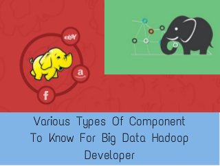 Various Types Of Component
To Know For Big Data Hadoop
Developer
 