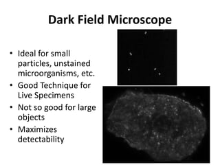 Dark Field Microscope
• Ideal for small
particles, unstained
microorganisms, etc.
• Good Technique for
Live Specimens
• Not so good for large
objects
• Maximizes
detectability
 