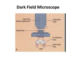 Dark Field Microscope
 