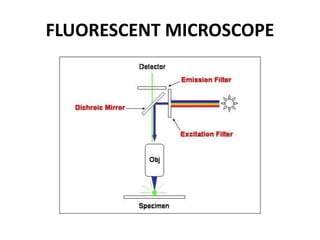 FLUORESCENT MICROSCOPE
 